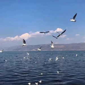 国产偷玩农村老妇女视频
